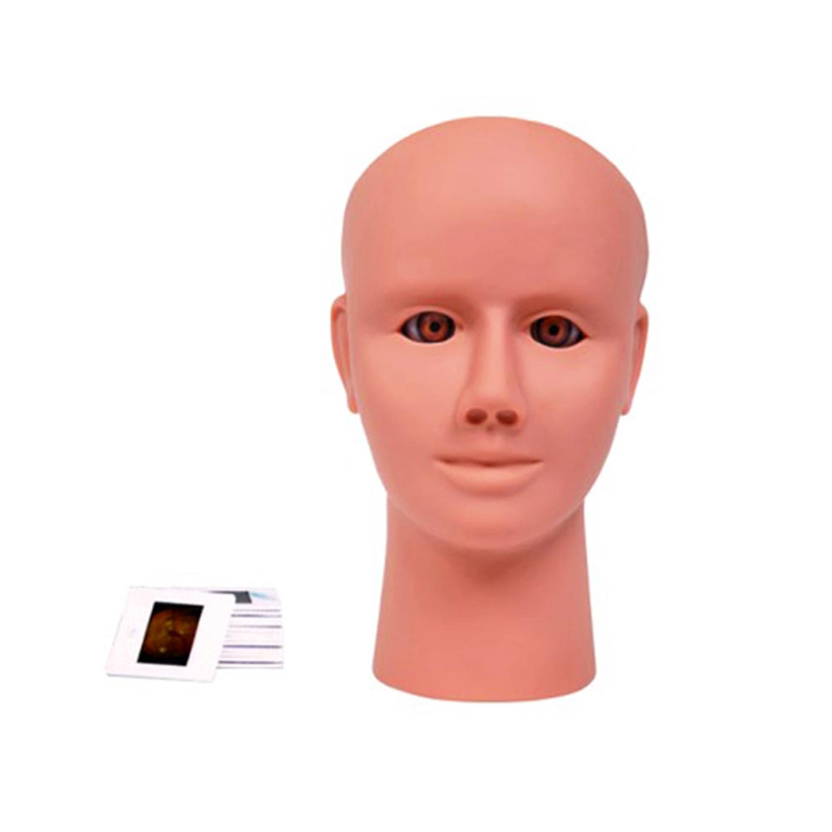 مانکن معاینه چشم و تعیین نمره چشم (مولاژ معاینه چشم)
