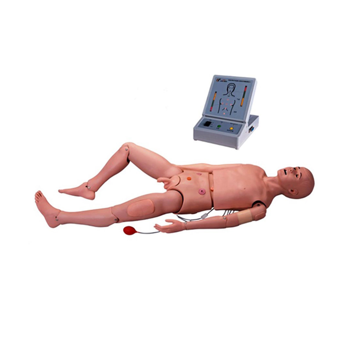 مانکن پرستاری و احیای قلبی ریوی CPR بزرگسال