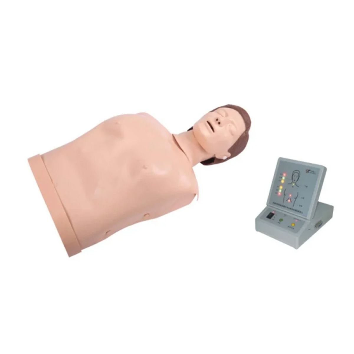 مولاژ (مانکن) نیم تنه آموزشی CPR