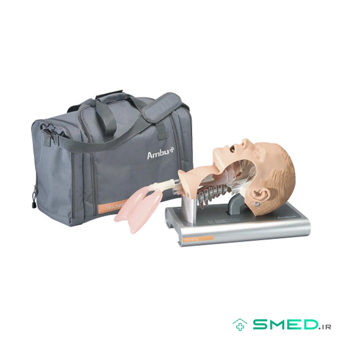 مولاژ سیستم آموزش مدیریت عملکرد دستگاه تنفس Ambu