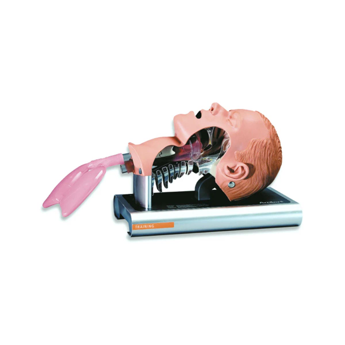 مولاژ سیستم آموزش مدیریت عملکرد دستگاه تنفس Ambu