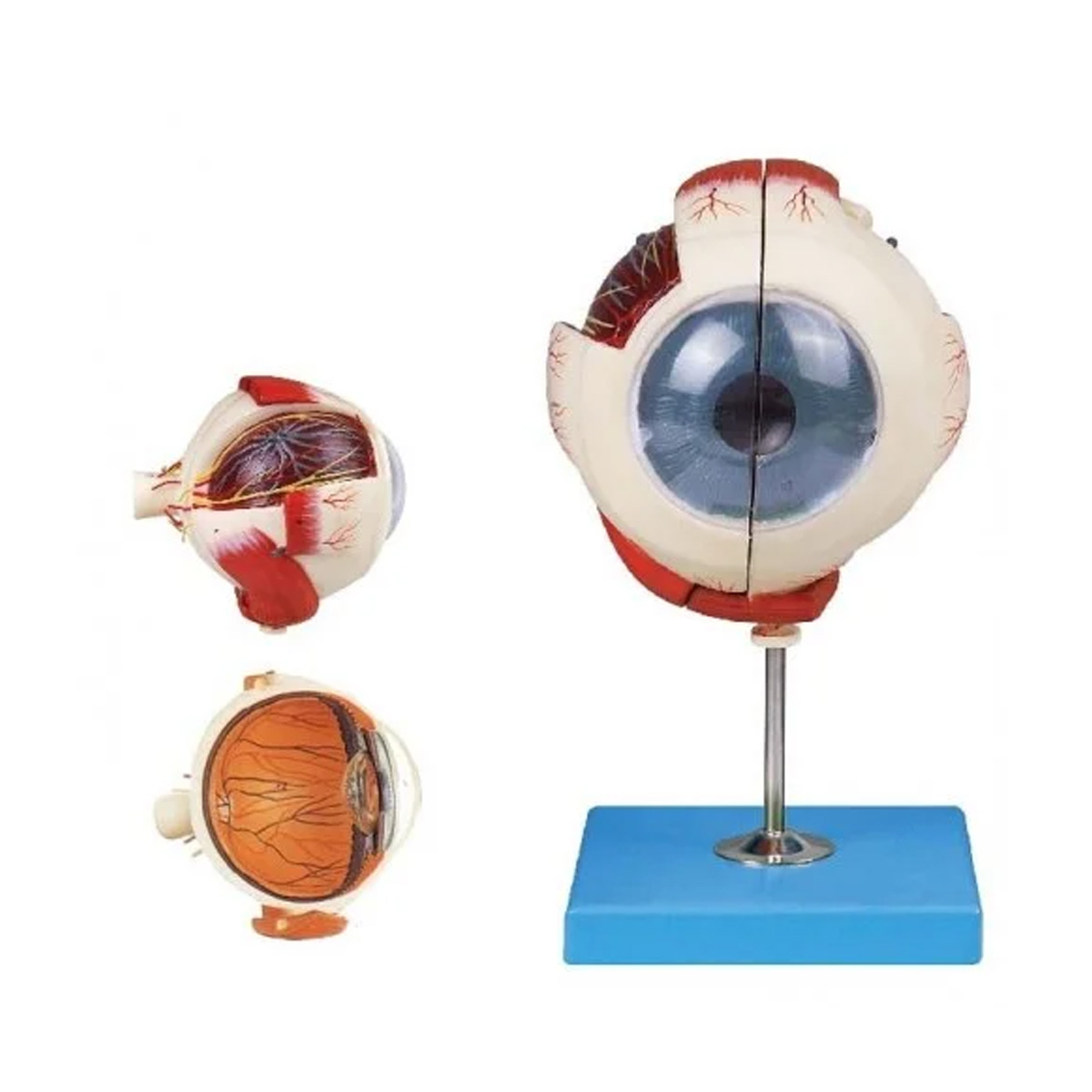 مولاژ چشم 2 قسمتی